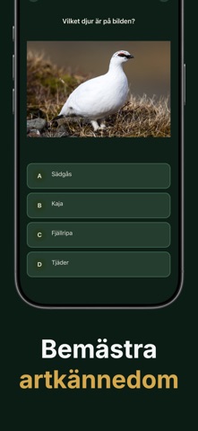 Jägarprov Screenshot 3 of 6