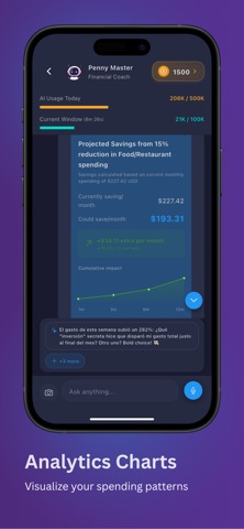 Penny Echo AI Finance Tracker iPhone screenshot