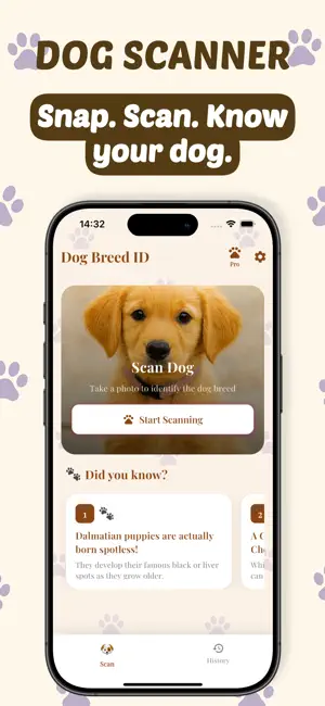 Dog Breed Identifier: Puppy screenshot 2