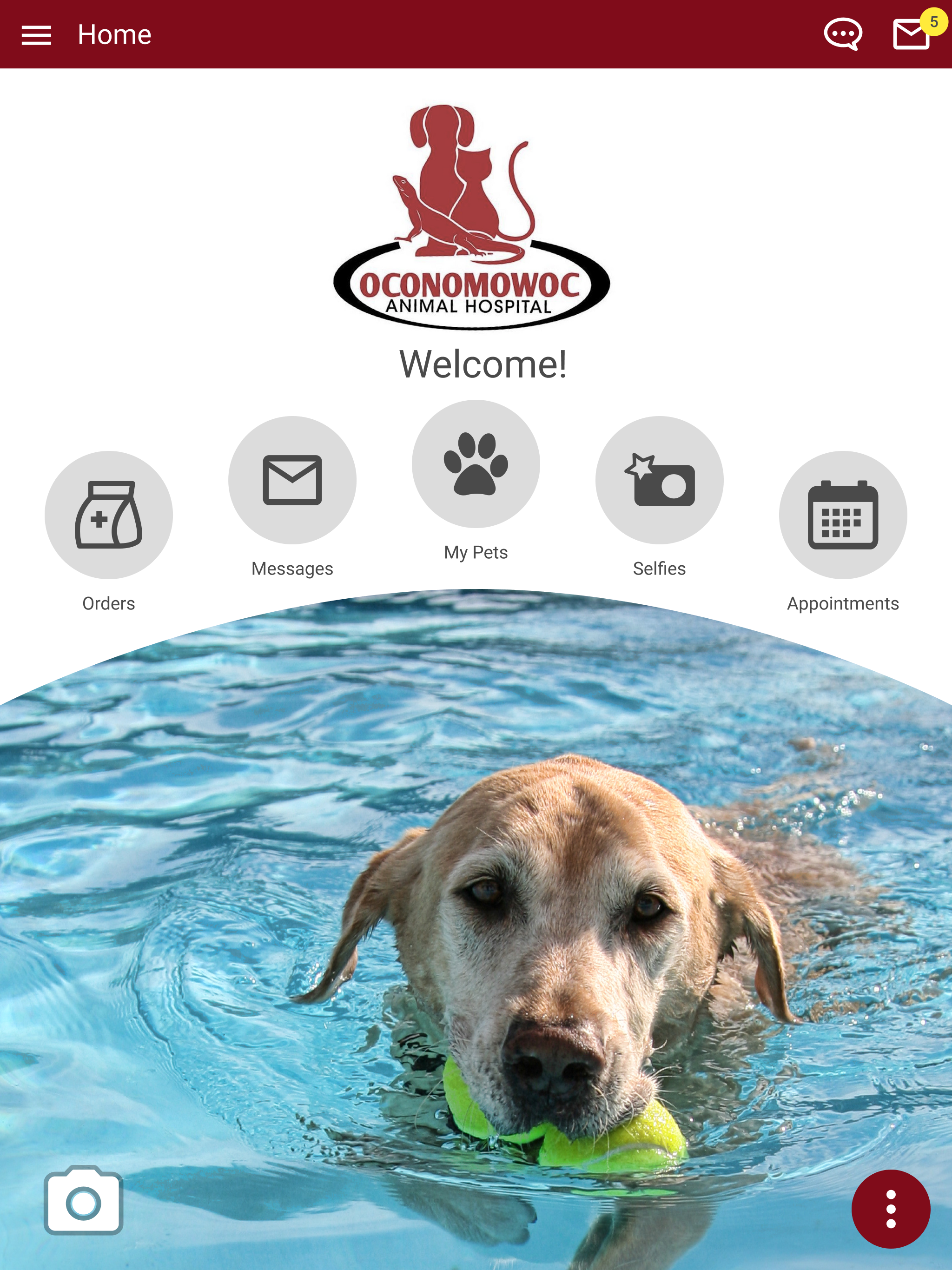 Oconomowoc Animal Hospital screenshot 11