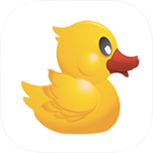 Fly To The End: Duck Adventure