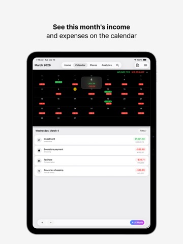 Hey Money – AI Budget Tracker iPad screenshot