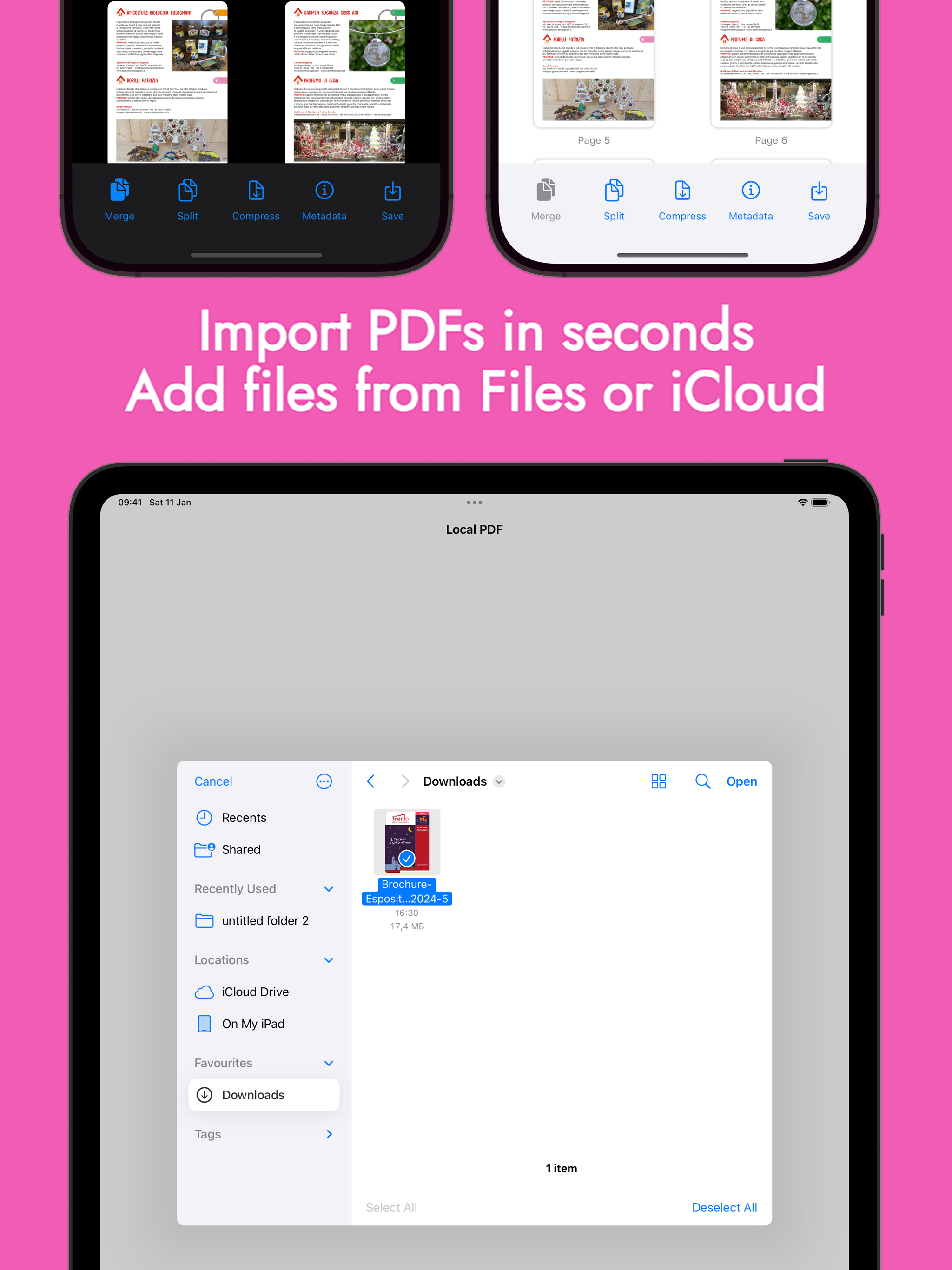 Local PDF screenshot 11