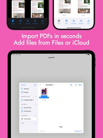 Local PDF iPad screenshot