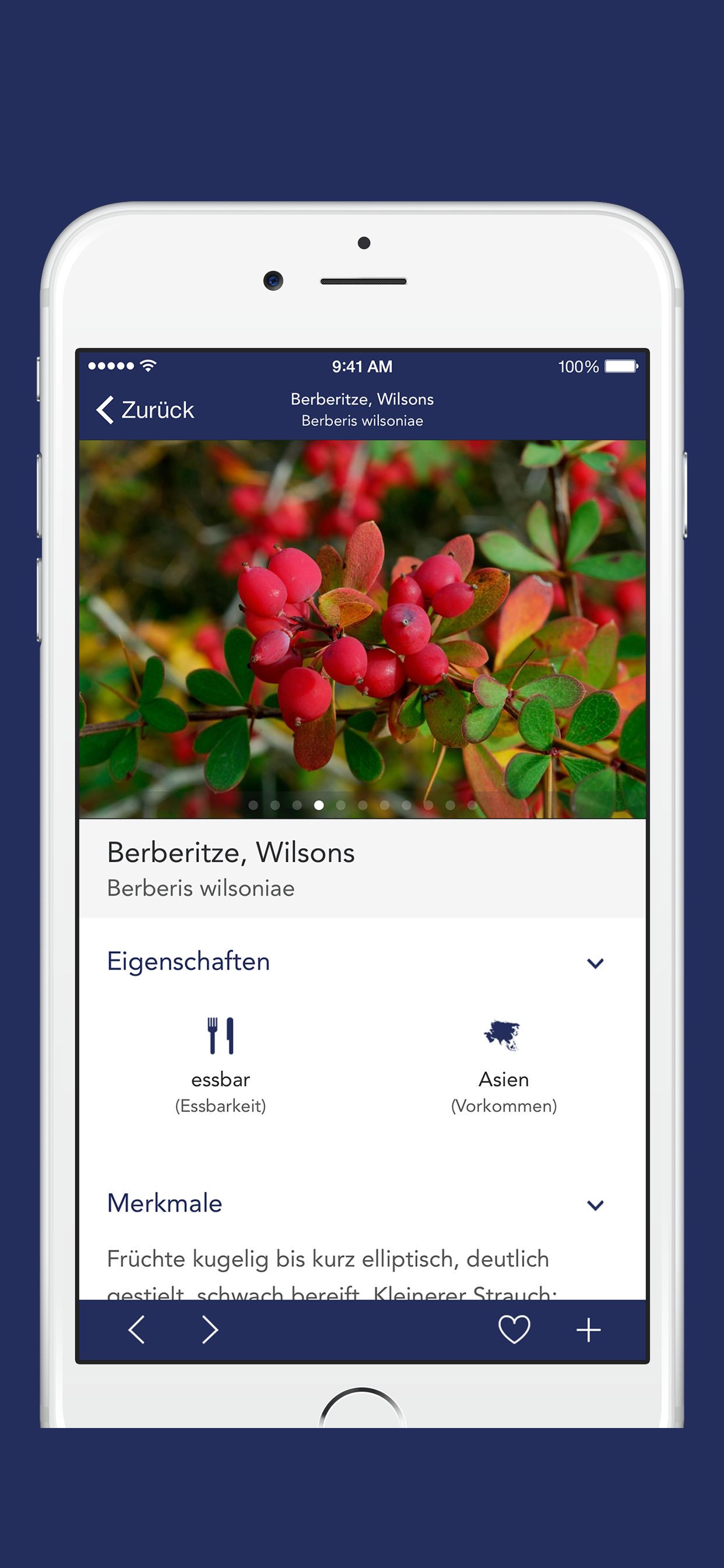 Früchte und Beeren PRO screenshot 3