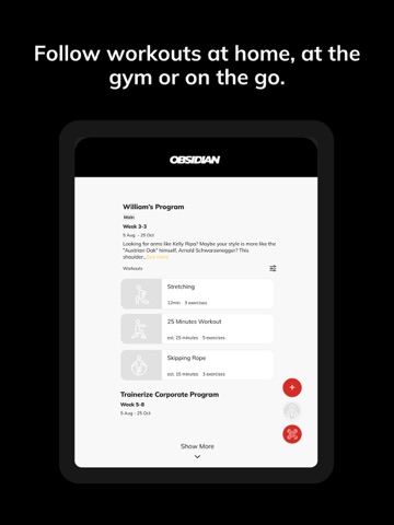 Obsidian Coaching iPad screenshot