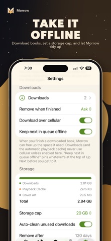 Morrow Audiobook Player iPhone screenshot 7