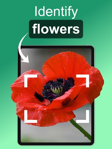 Flower Identifier: ID Scanner ipad screenshot 2