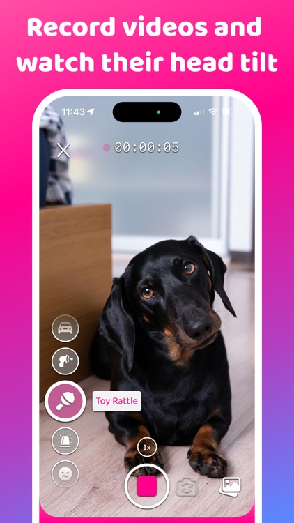 Dog Scanner & Sounds: DogCam screenshot-4
