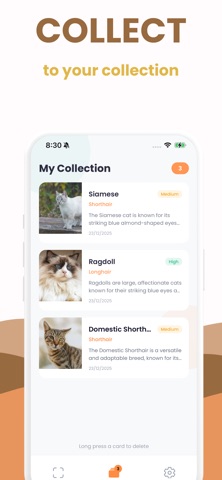 Cat Breed Identifier: Scanner screenshot