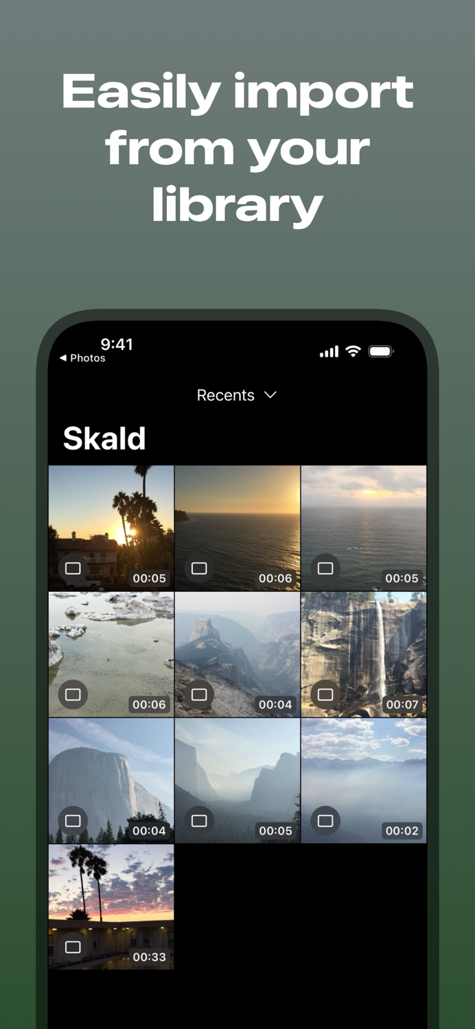 Skald - Video editor