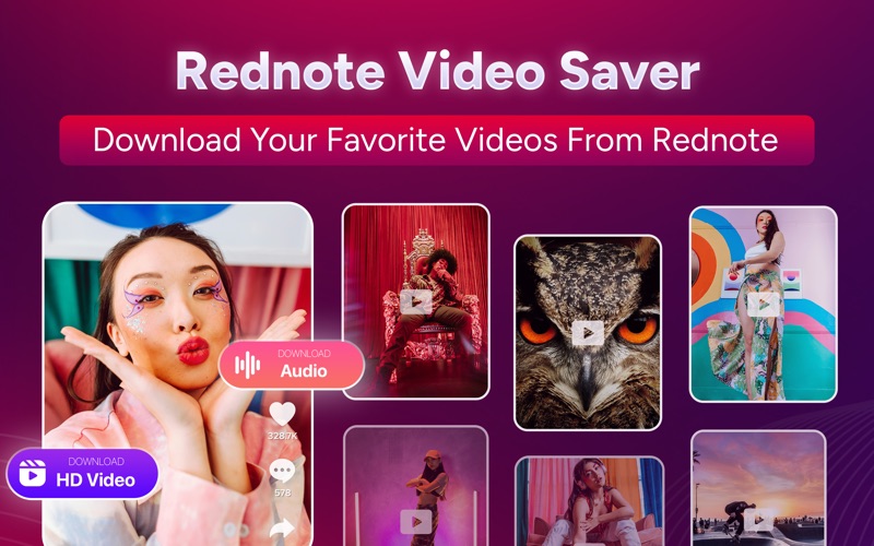 Social Video Saver app screenshot