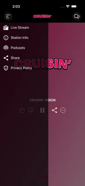 Cruisin' Oldies screenshot 2