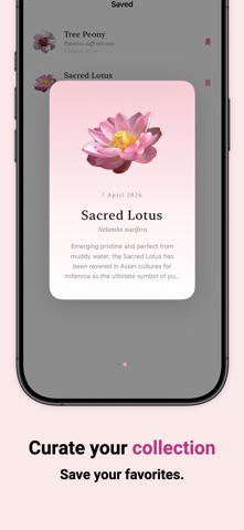 Flora - 每日一花 screenshot