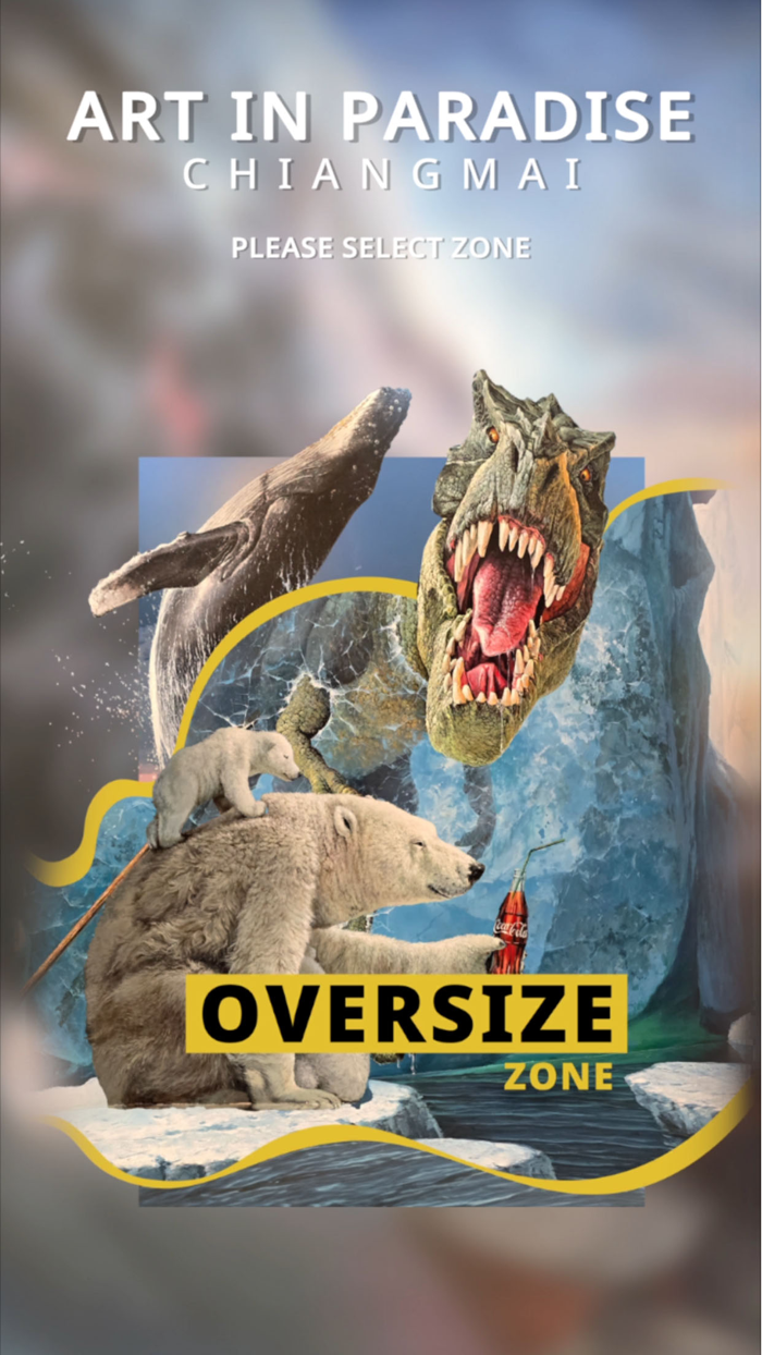 Art In Paradise CNX AR