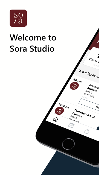 Sora Studio Screenshot 1 of 6