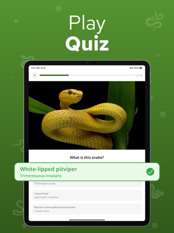 Snake Identifier – Snakium iPad screenshot