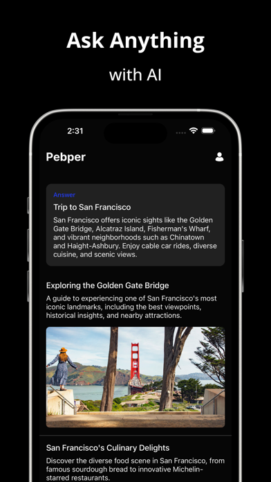 Ask AI Pebper Screenshot