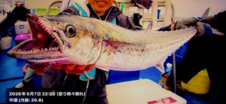 s＊カメラ screenshot