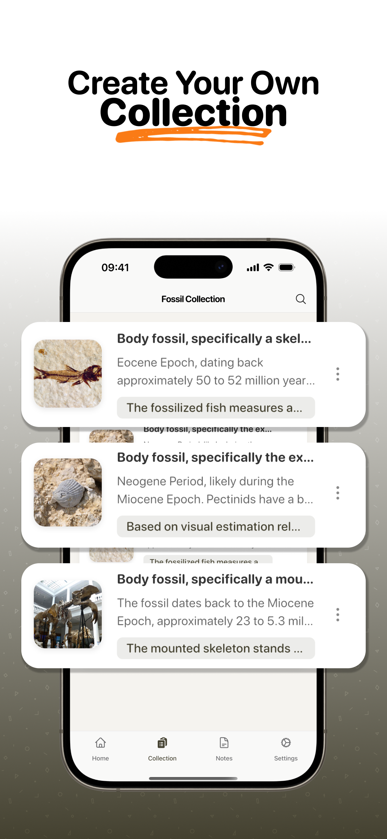 Fossil Identifier: Scan Fossil