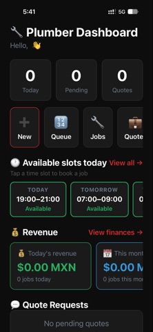 PlumbersDash screenshot