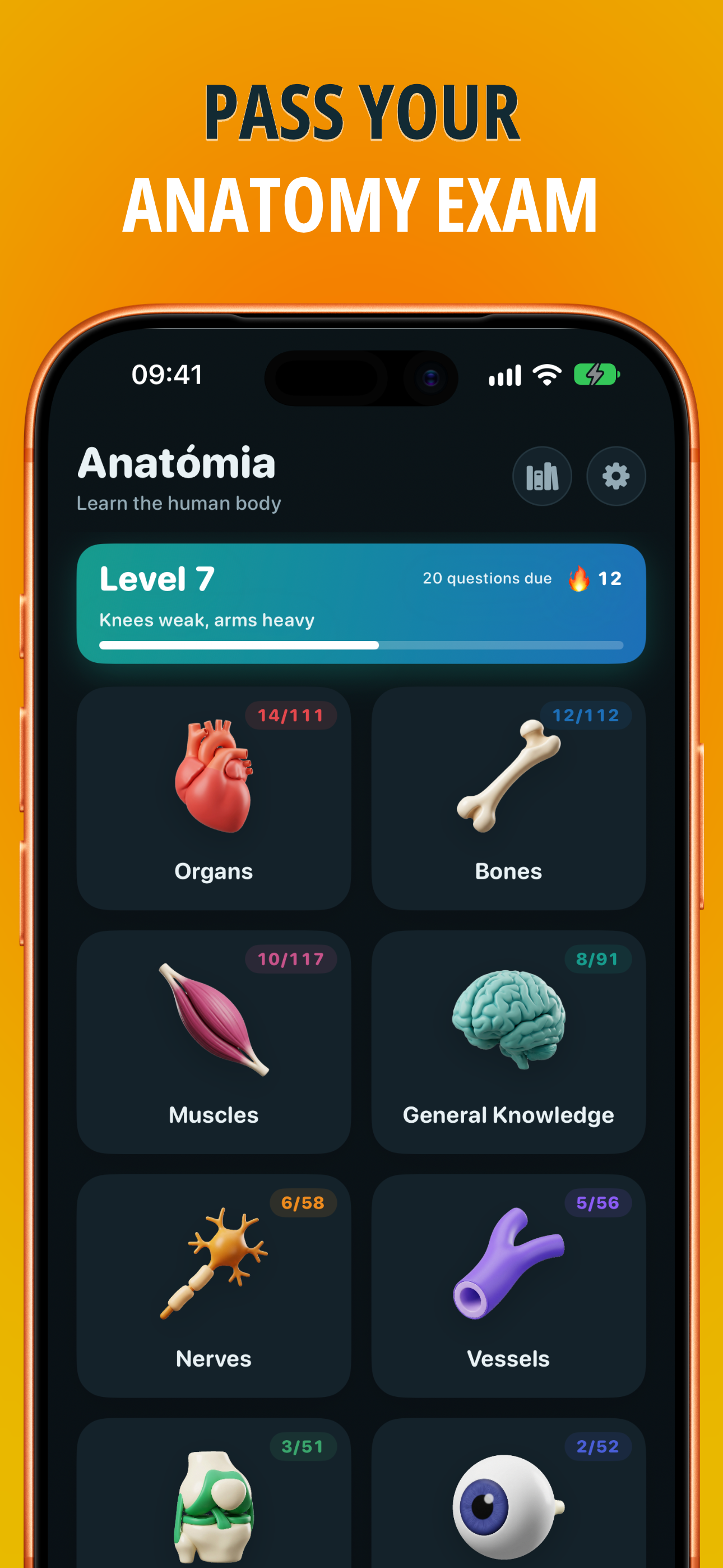 Anatomia - human anatomy quiz