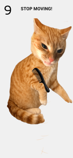 Brush The Cat screenshot 2
