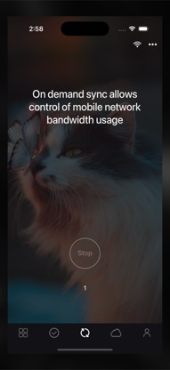 Sync with OneDrive screenshot 4