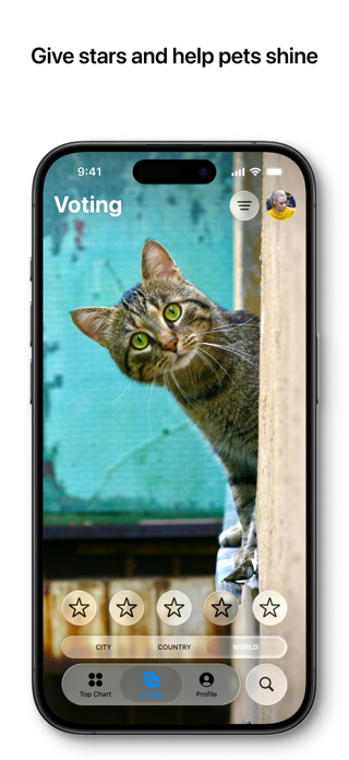 Petsvote Screenshot 2 of 6