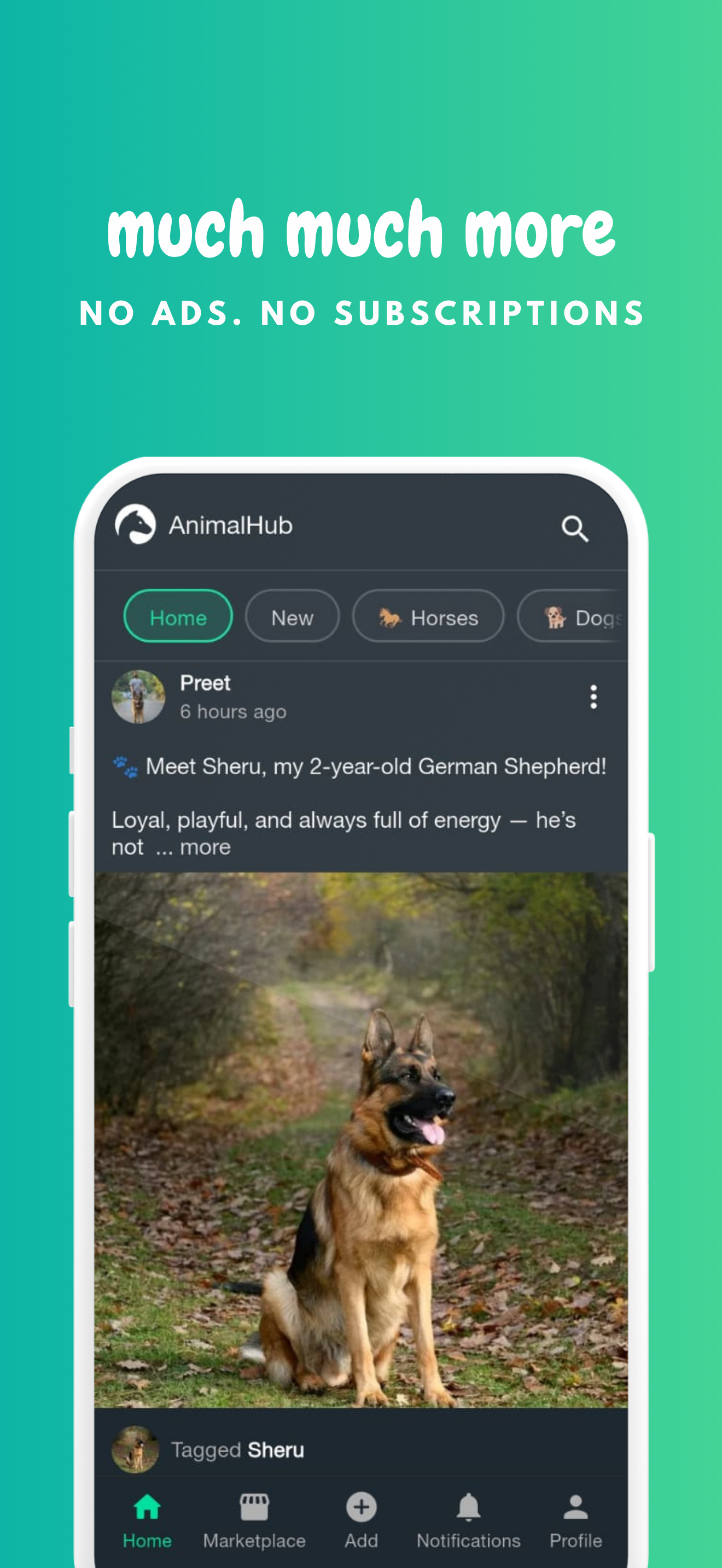 AnimalHub - Social Network