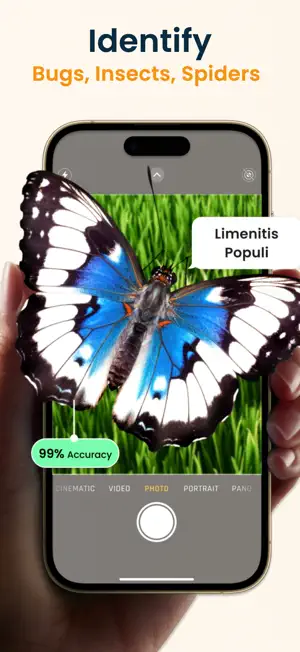 Insect Identifier: Scan Bug screenshot 1