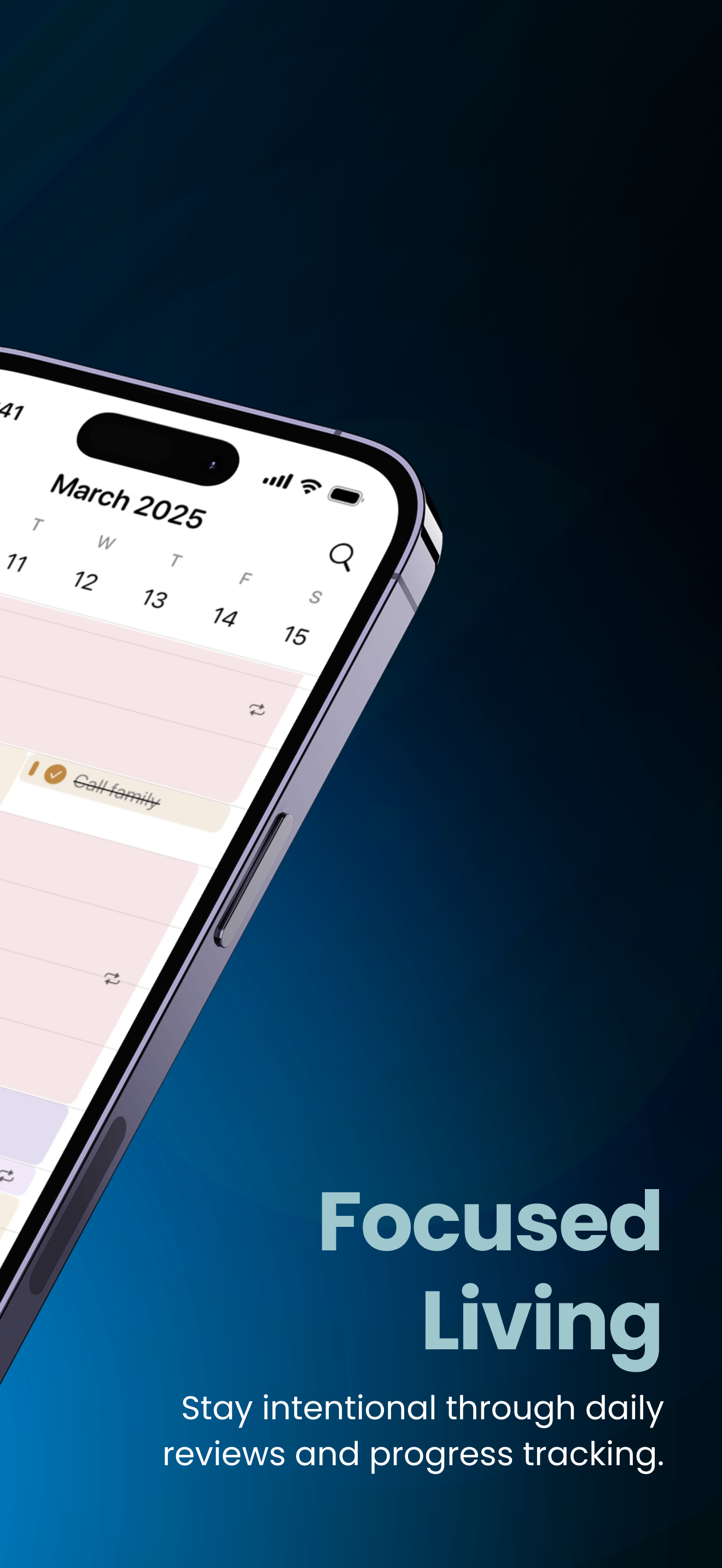 Strive Planner - A Simpler Way screenshot 2