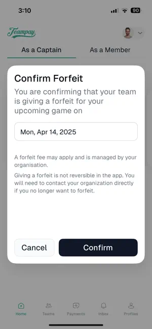 Teampay iPhone screenshot 4
