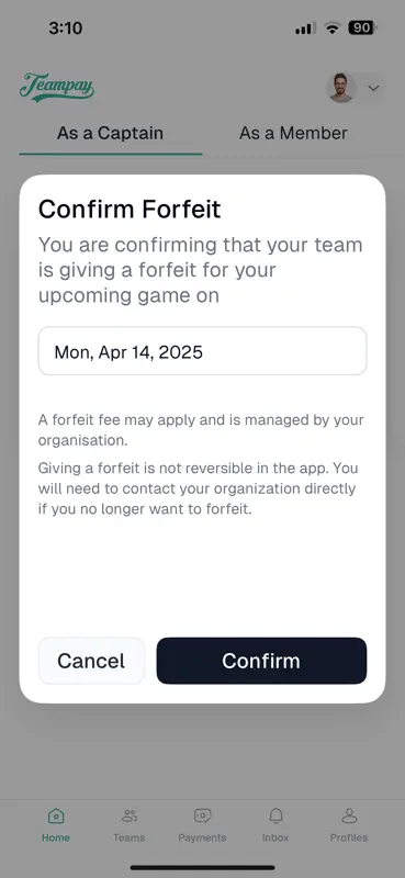 Teampay screenshot 4 of 5