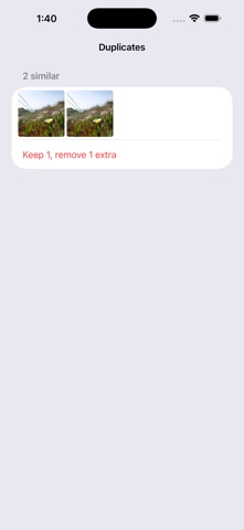 PixSort - Photo Organizer screenshot 2