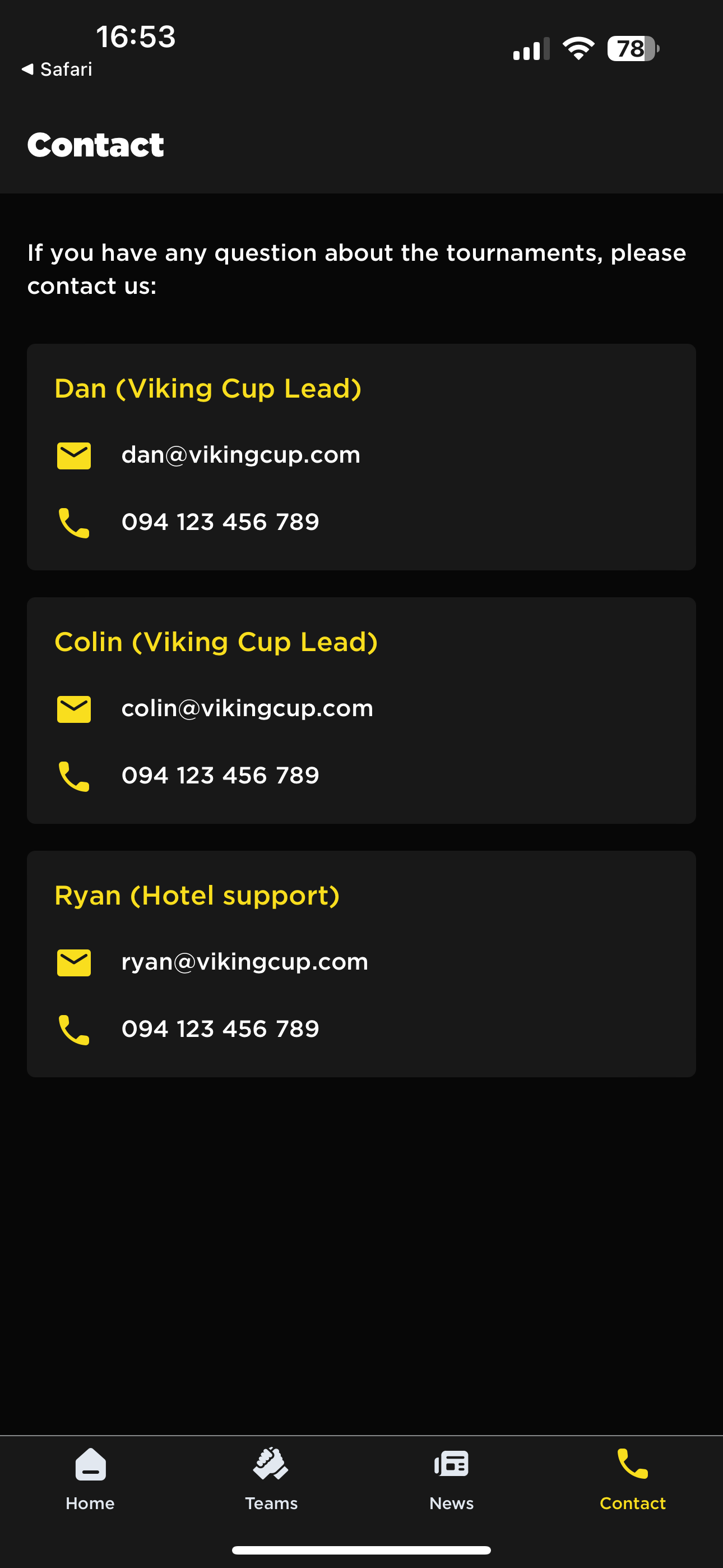 Viking Cup screenshot 9