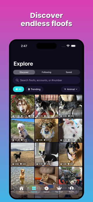 Only Floofs Screenshot 2 of 6