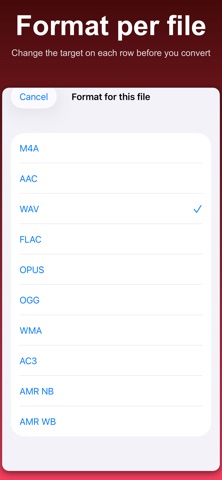 Audio Converter: MP3 AAC WAV iPhone screenshot