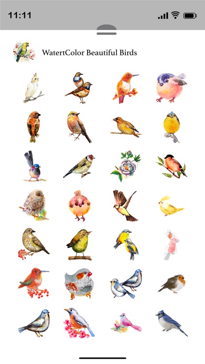 Watercolor Beautiful Birds