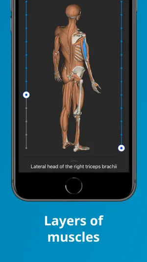 Humanatomy.app screenshot 4