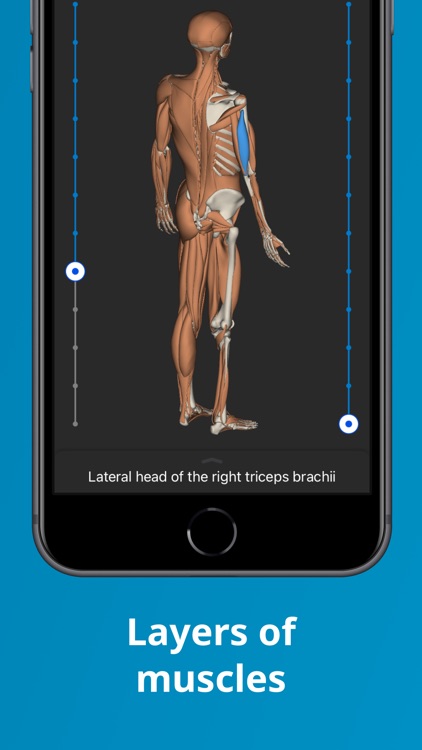 Humanatomy.app screenshot-3
