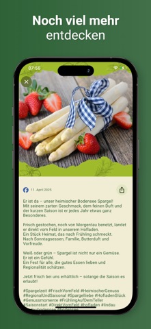 Hammerhof Lindau (Bodensee) screenshot