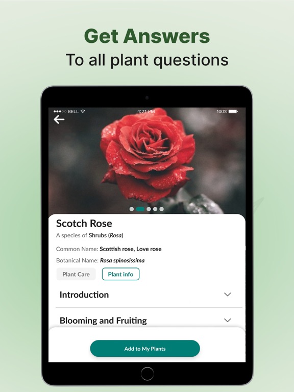 PlantOn - Ai Plant Identifier iPad screenshot 4 - Education app