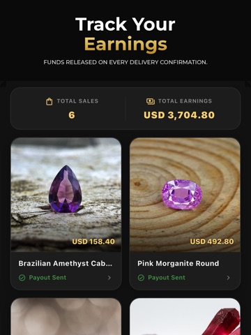 Gem Heaven:Gem Rock Identifier iPad screenshot