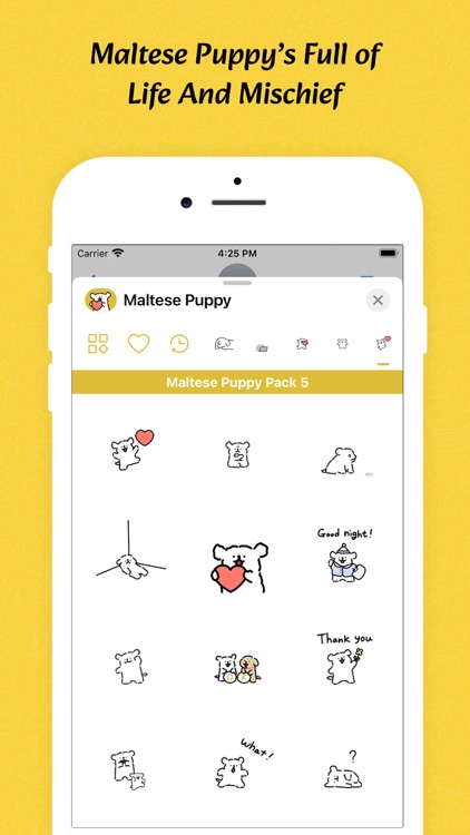 Cute Maltese Puppy screenshot-3