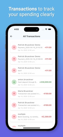 BlueNile Custom vBank Sim screenshot