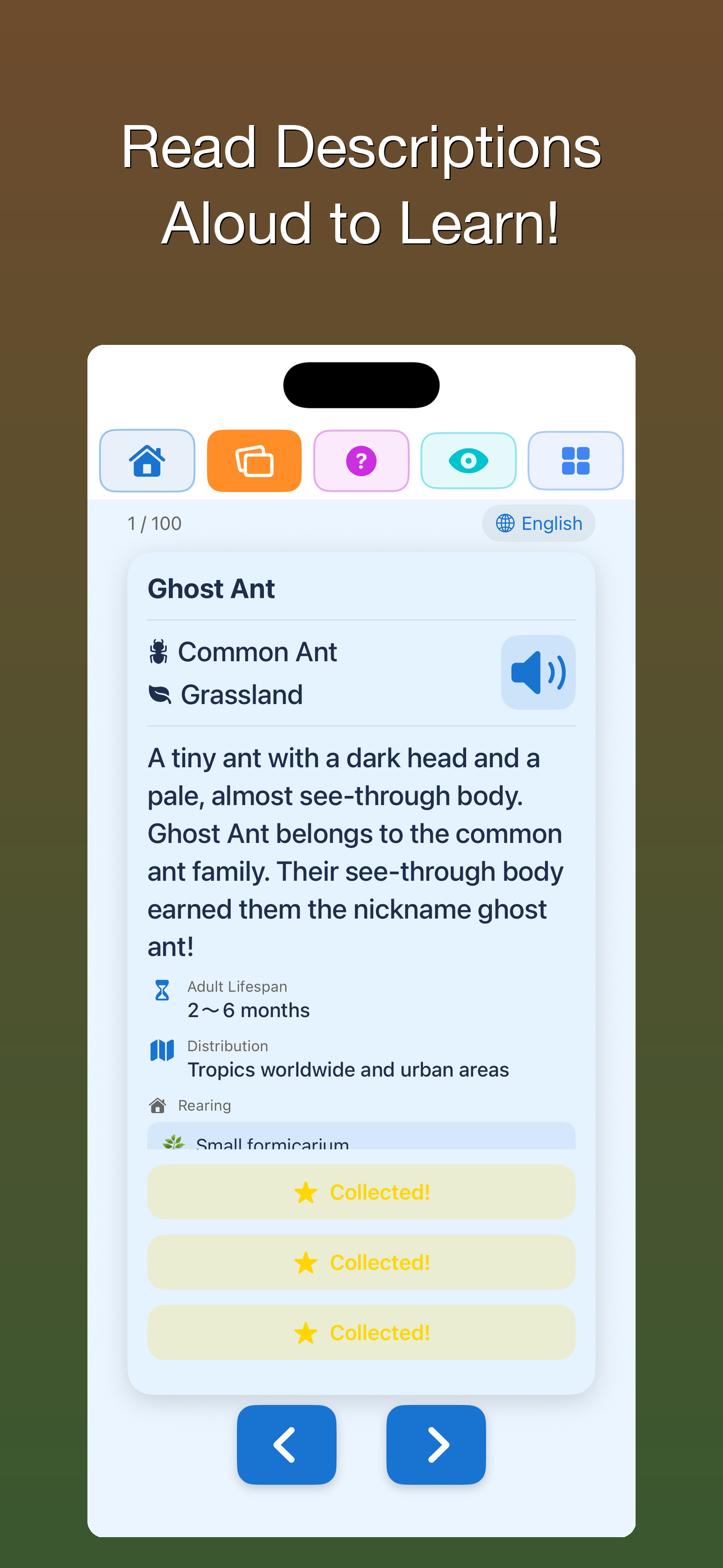 100 Ants for Kids screenshot 6