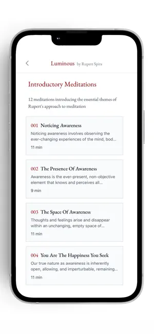 Luminous - Rupert Spira screenshot 2