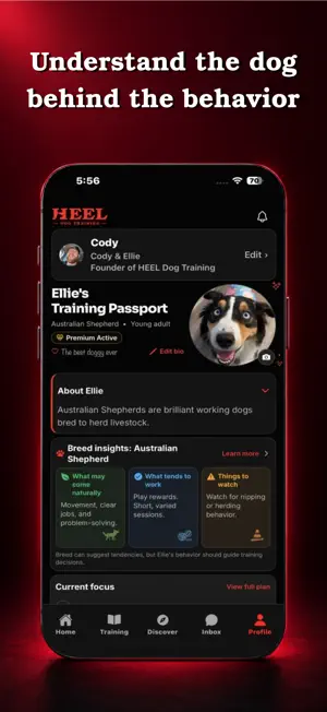 HEEL Dog Training screenshot 4