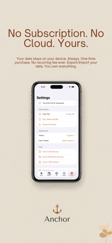 Anchor: Discipline Framework screenshot
